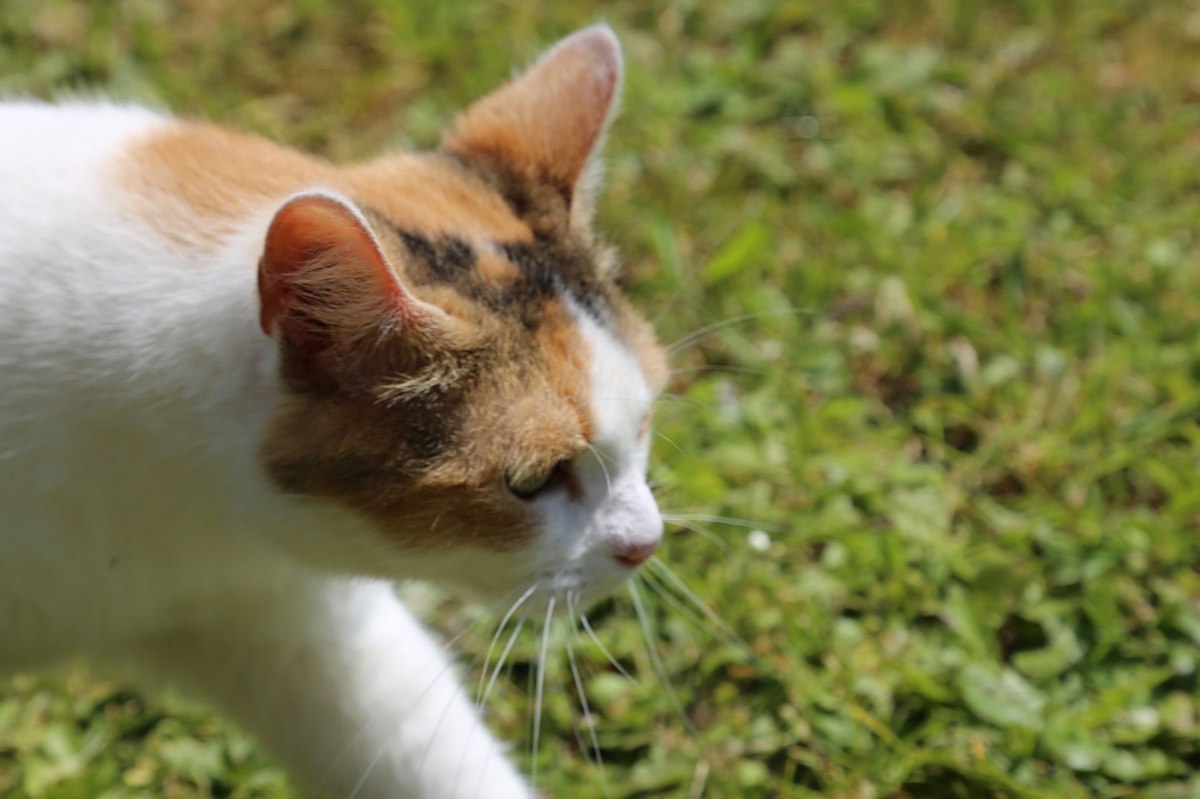 Chambres d'hôte en pleine nature entre Lot et Dordogne ©Serge Briez